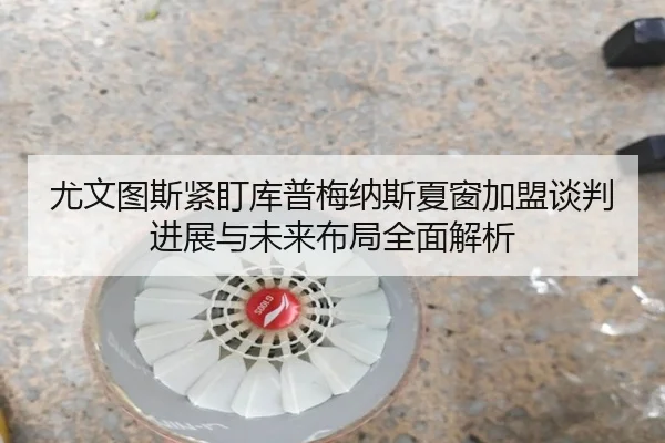 尤文图斯紧盯库普梅纳斯夏窗加盟谈判进展与未来布局全面解析
