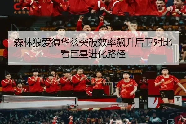 森林狼爱德华兹突破效率飙升后卫对比看巨星进化路径